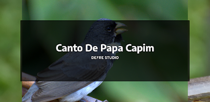 Canto De Papa Capim for Android - Free App Download