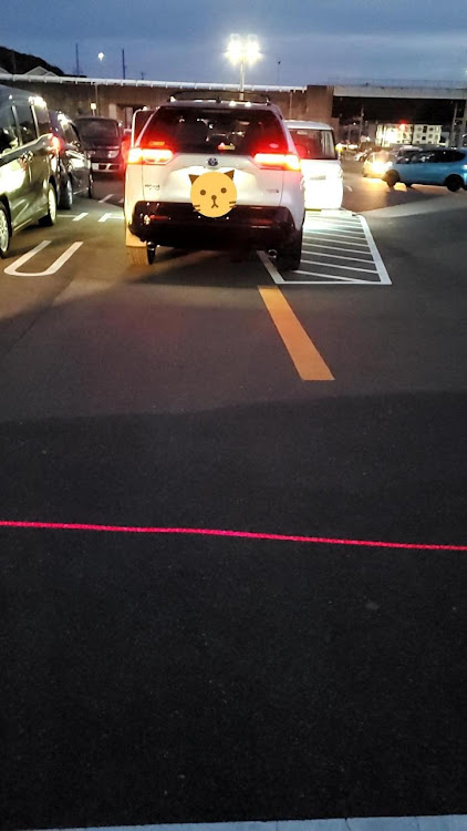 RAV4のakiプリさんが投稿したカスタム事例の投稿画像1枚目