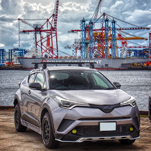 C-HR ZYX10