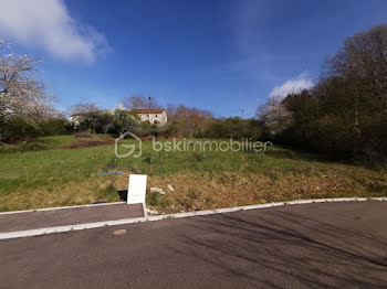 terrain à Villeneuve-sur-Yonne (89)