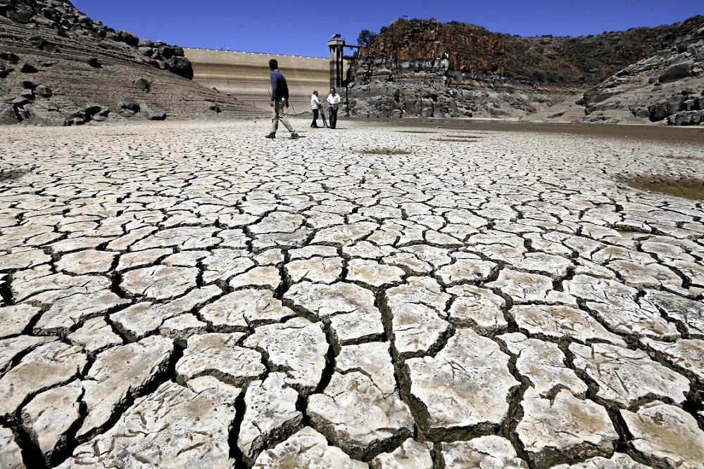 rain-brings-a-trickle-of-relief-but-karoo-drought-is-far-from-over