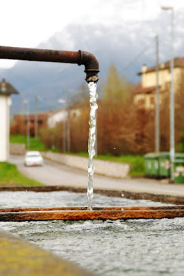 Acqua di photoand