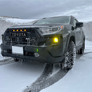 RAV4 AXAH54