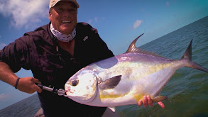 Marlin vs. Permit thumbnail