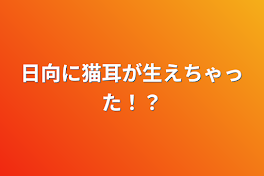 日向に猫耳が生えちゃった！？