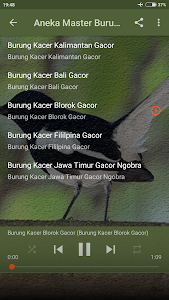 Download Suara Burung Kacer Pikat Apk Latest Version 1 0 For