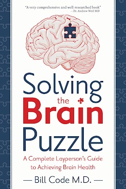 Solving the Brain Puzzle cover