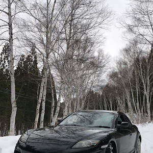 RX-8 SE3P