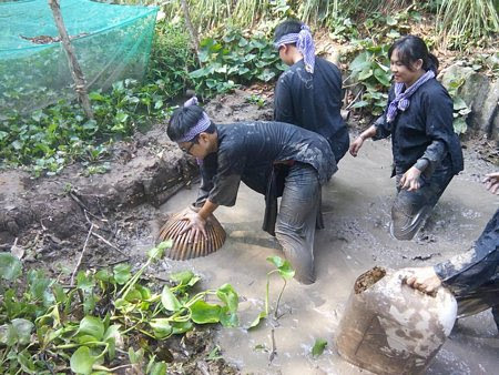 Du lịch Vĩnh Long, hấp dẫn Homestay 3