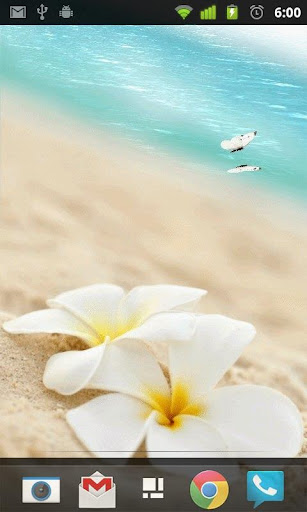 Beach Butterfly Live Wallpaper