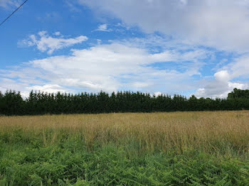 terrain à Larée (32)