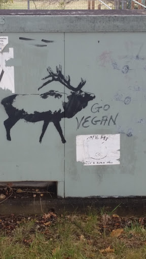 Vegan Elk