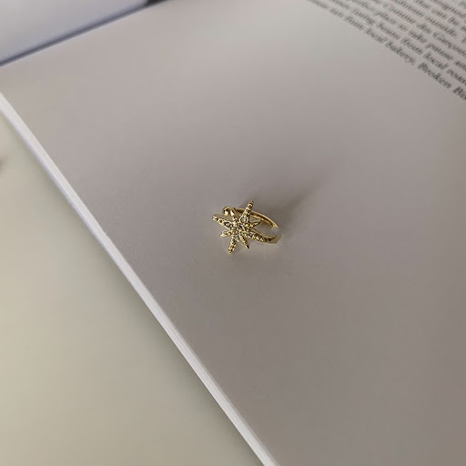 Title 26, Ladies Elegant Earrings Without Earholes. Enjo...