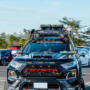 RAV4 MXAA54