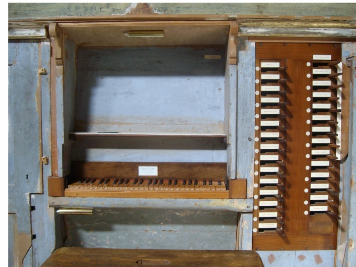 Vecchio organo di ildarita