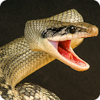 Anaconda Rampage: Giant Snake Attack 2.112