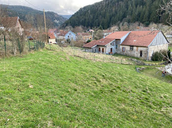 ferme à Plainfaing (88)