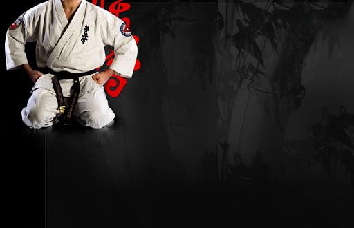 Karate Live Wallpaper