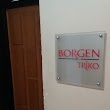 Borgen Triko