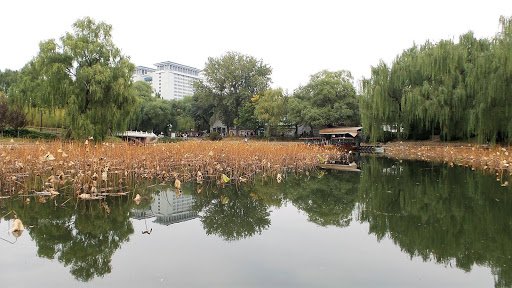 Bamboo Lake Beijing China 2015