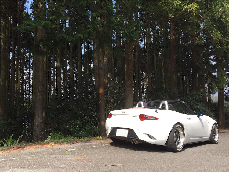 ロードスターのコロナウイルスに負けるな・汚れてます😱・桜とコラボ・ドライブ・RX8に関するカスタム事例の投稿画像2枚目