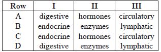 Human Endocrine Glands