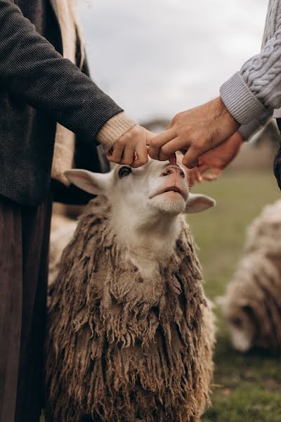 Fotógrafo de casamento Natalya Sidorova (natimart6). Foto de 22 de novembro 2021