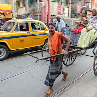 Calcutta di Domenico del Rosso