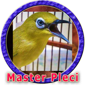 Masteran Pleci MP3  Icon