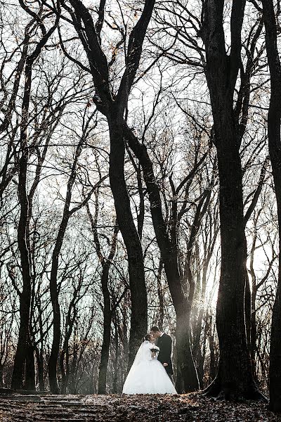 Wedding photographer Dmitriy Kononenko (photokononenko). Photo of 18 December 2018