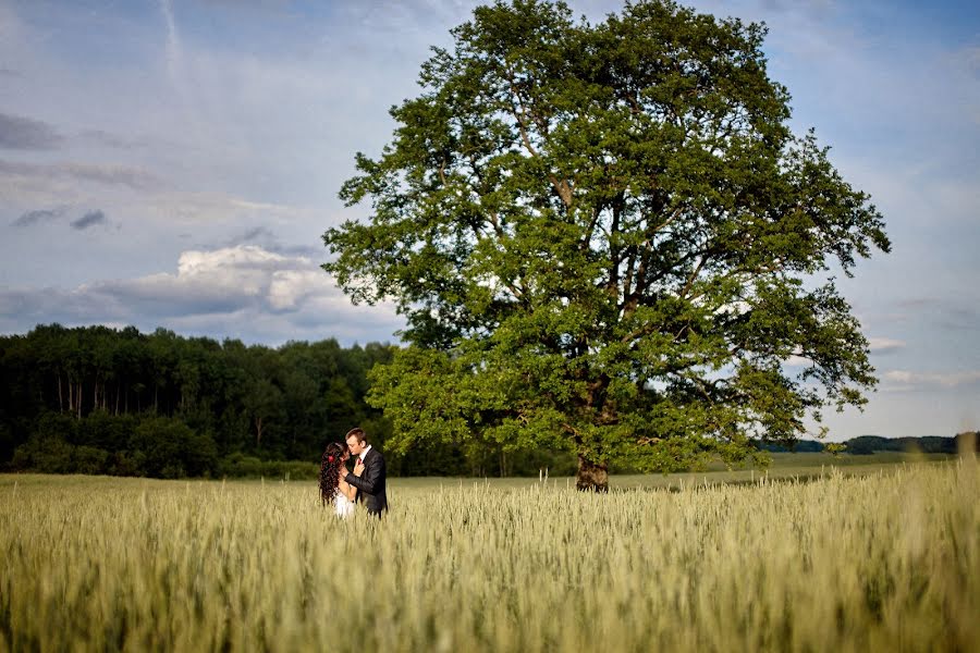 Wedding photographer Andrey Rodchenko (andryby). Photo of 21 June 2015