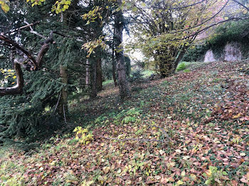 terrain à Bourg-de-Thizy (69)