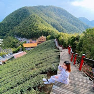 嘉義梅山二尖山休閒茶園