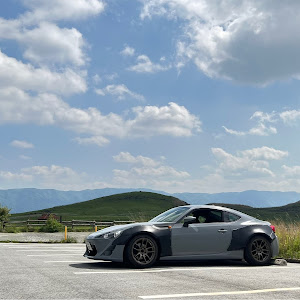 BRZ ZC6