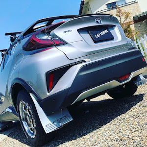 C-HR ZYX10