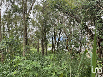 terrain à Saint leu (974)