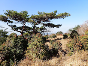 伊勢辻山山頂