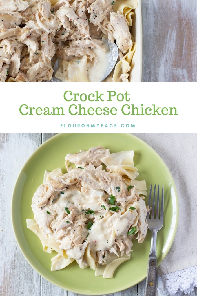 Cream Cheese Crock Pot Chicken : Crockpot Cream Cheese Salsa Chicken Now I Can Have My Cake And Eat It Too