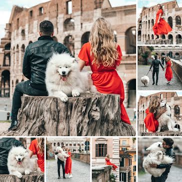 Puppy Collage - Instagram Carousel Ad template