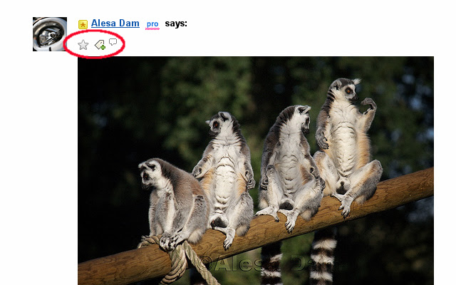 Flickr Photo Actions on Threads chrome extension