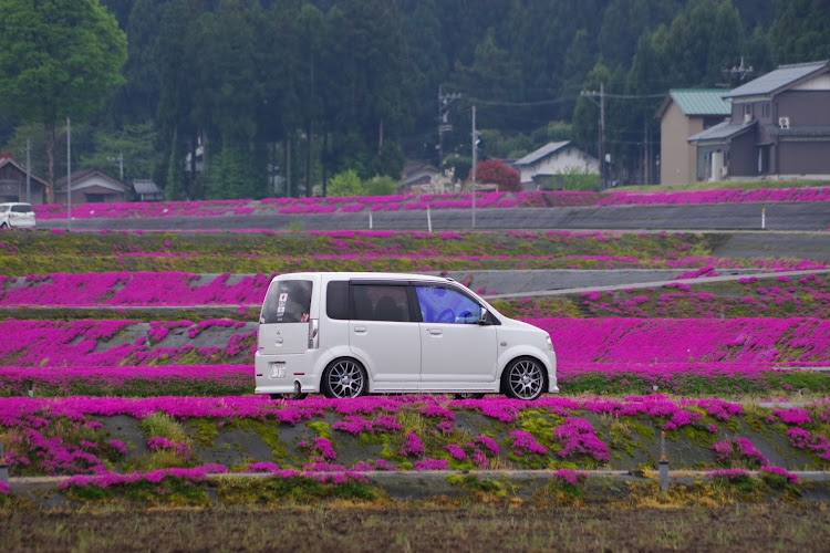 の投稿画像3枚目