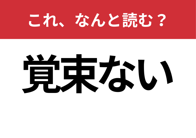 覚束ない ってなんて読む 会話でよく使われます Trill トリル