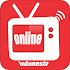 TV Online Premium HD1.0