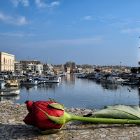 la rosa dimenticata di 