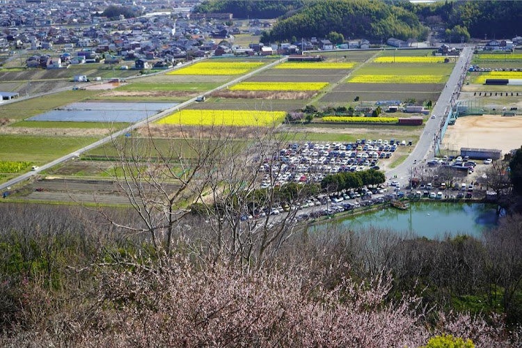 の投稿画像2枚目