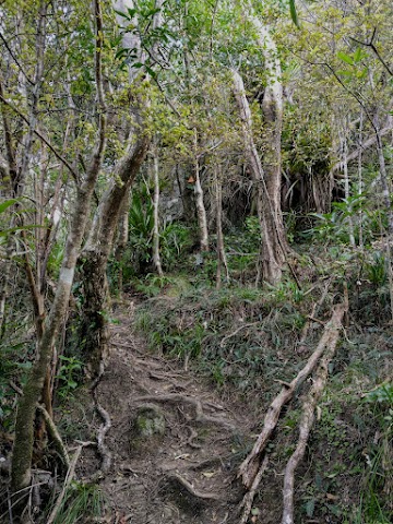 Te Whara Track Balancing Rock