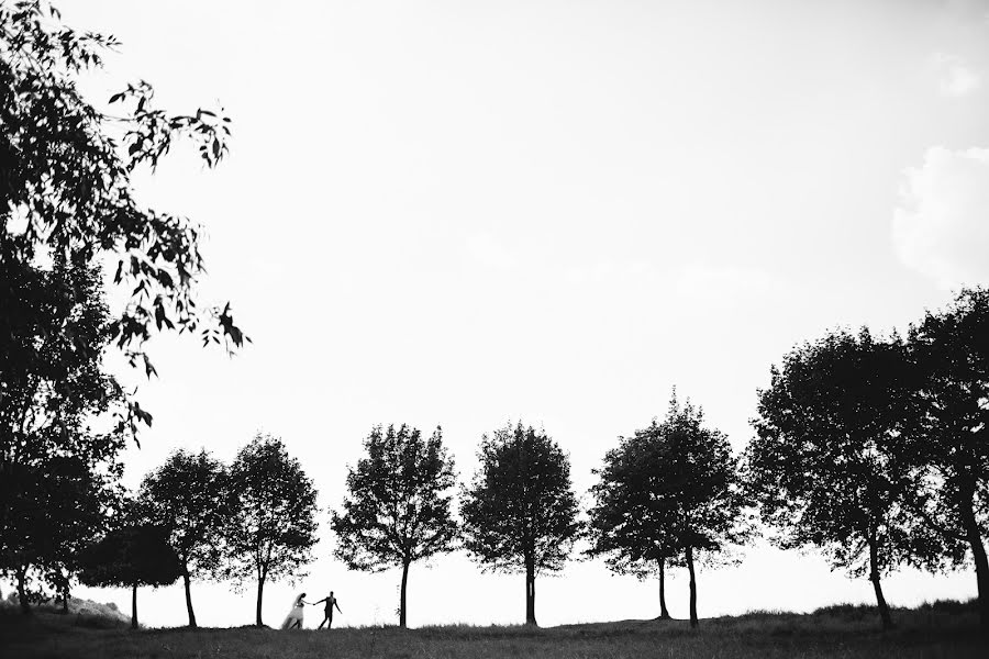 Vestuvių fotografas Taras Kupchinskiy (coopert). Nuotrauka 2016 rugsėjo 4