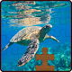 Download Under the sea and ocean life Jigsaw Puzzles 