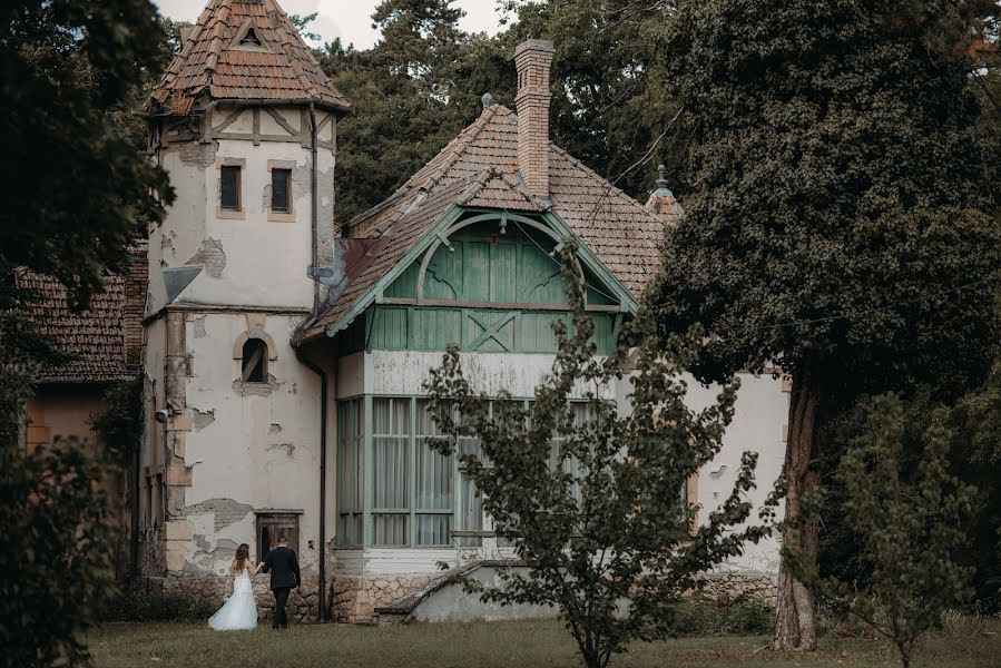 Fotógrafo de casamento Strahinja Babovic (babovic). Foto de 15 de junho 2019