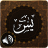 Surah Yaseen Audio icon